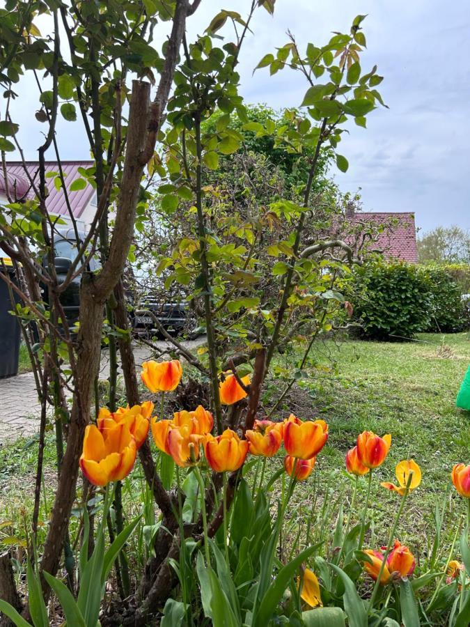 Fewo Michistrasse Forchheim  Dış mekan fotoğraf