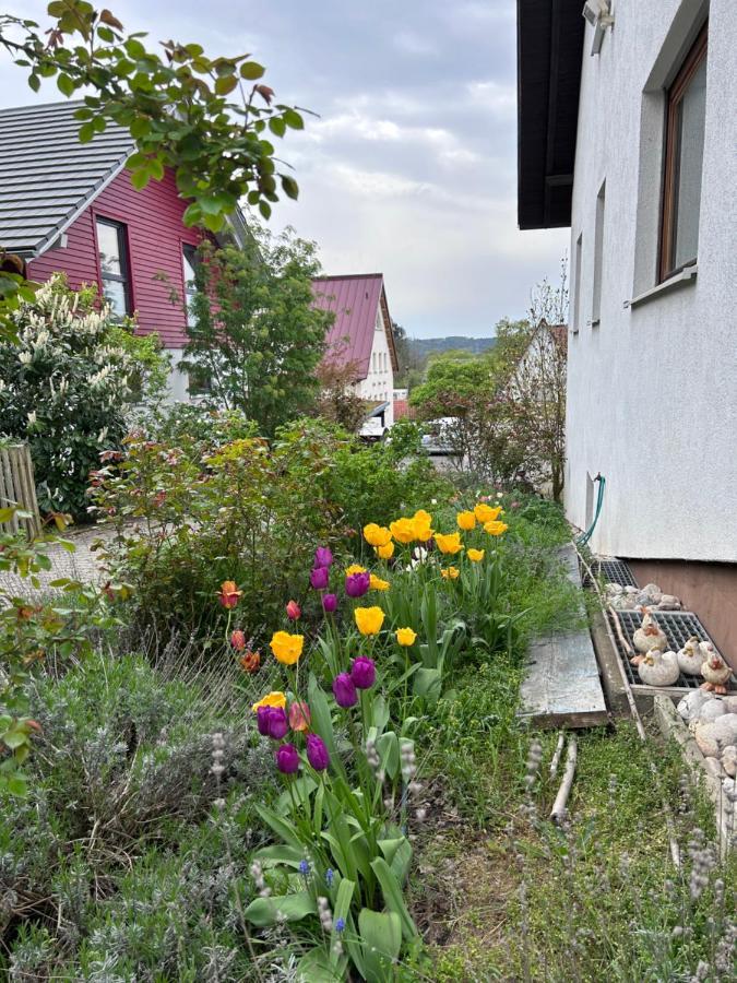 Fewo Michistrasse Forchheim  Dış mekan fotoğraf